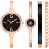 Anne Klein Geschenkset mit der Uhr AK/3290BKST