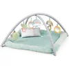 ingenuity Spielbogen Spieldecke Calm Springs  Plush