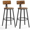 Vasagle, Barhocker, 2 Barhocker LBC026B01V2 braun