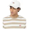 Kappe Dickies Hardwick Beige TU