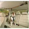 Kurgo Auto Zip Line & Leash (Hund), Tiertransport