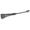 Kettensägenkabel Solarpanel BioLite Schwarz 36 cm