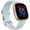 Fitbit Sense 2 Smartwatch One Size