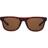 Sonnenbrille Pit Viper The Landlocked Highball HDPV Braun TU