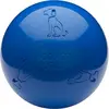 Company of Animals Boomer Ball, Hundespielzeug