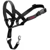 Company Of Animals Halti Trainingshalsband