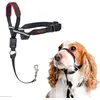Company of Animals Halti Optifit (M, Hund), Halsband + Leine