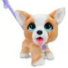 Hasbro Furreal Pet Poopalots Corgi Pädagogisches Spielzeug