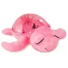 Cloud B Tranquil Turtle (cb7423-pk) Spielzeug