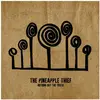 kscope, Schallplatten, Nothing But The Truth (Gatefold Black 2LP) (The...