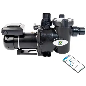 Zodiac E30iq 200 Drehzahlgeregelte Pumpe Silber Silber One Size günstig