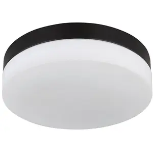 Deckenlampe, Außenleuchte, 2 Flammig, Alu, Glas, D 24 cm