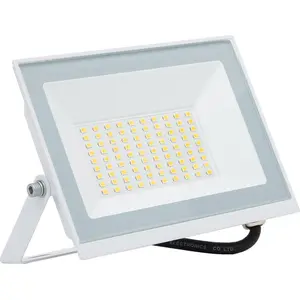 LED Fluter 50W 120 lm/W IP65 S3 5000K Nein Weiß Kaltweiß
