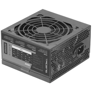 Anima Apiii600 Netzteil 600w