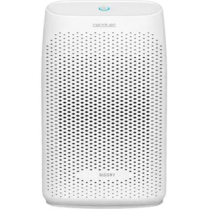 Cecotec BigDry 2000 Essential, 23 W, 163 mm, 107 mm, 267 mm, 1 kg günstig