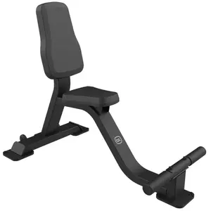 Bodytone Fbc13 Bauchbank 123 x 68 x 95 cm