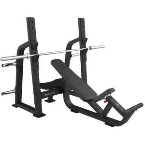 Bodytone Fbc07 Olympic Inclined Hantelbank 203 x 170 x 148 cm günstig