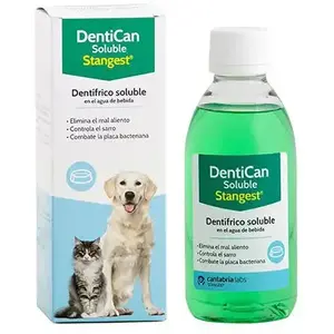Stangest Dentican Soluble 250ml Zahnpasta Für Haustiere günstig