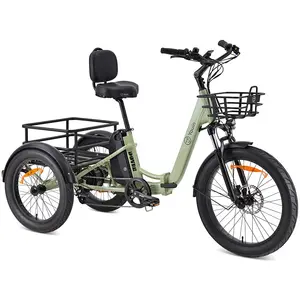Youin Cargo Dover Faltbares Elektrofahrrad One Size günstig