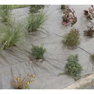 NORTENE Weedsol Mulchgewebe - Braun - 2,10x25m günstig