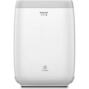Taurus AP2040, 22 dB, 330 m³/h