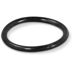 O-Ring für Astral, Swim-tec Unterwasser Scheinwerfer günstig