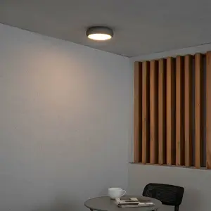 LED-Außen-Deckenleuchte Anga, dunkelgrau, Beton, Ø 24 cm
