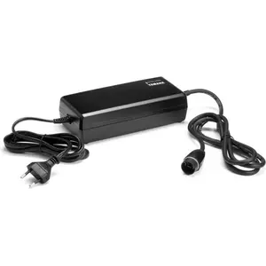 Yamaha 36v 500w Ladegerät Silber Silber One Size günstig