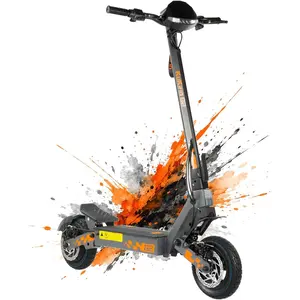 KUKIRIN G2   Elektroroller faltbar   Ohne ABE   Reifen 10 Zoll   Batte...