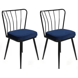 Homitis Skye Decor, Y ld z-944 V2, Stuhlset (2 Stück), Dunkelblau, 100... günstig