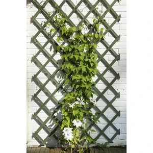 Nature Garten-Rankgitter 50x150 cm Holz GrÃ1/4n günstig
