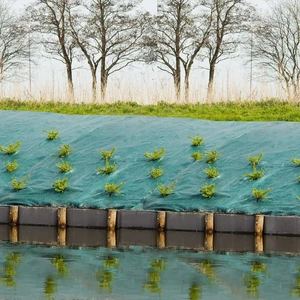 AUCUNE Nature Unkrautschutz-Bodengewebe 3,3×5 m Grün günstig