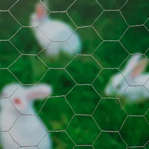 Nature Sechseckgeflecht 1x10 m 40 mm Verzinkter Stahl günstig
