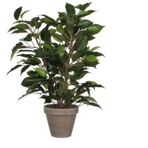 Kunstpflanze Mica Kunstpflanze Ficus Natasja grün im Topf 40 x, Mica D... günstig