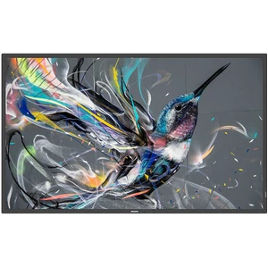 Philips 65BDL3550Q/00, 165,1 cm (65"), IPS, 3840 x 2160 Pixel, 18/7