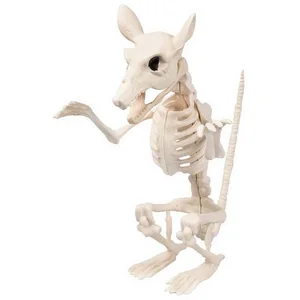 Boland Dekoobjekt Skelett Tier Ratte 'Cheddar' 18 x 15 cm, Beige günstig