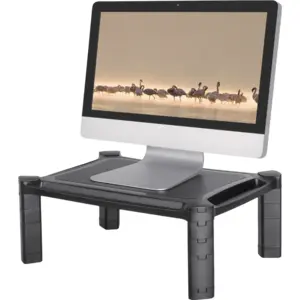 Neomounts by Newstar NMONITOR20 Monitorständer Schwarz günstig