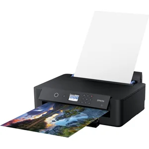 Epson Expression Photo Xp-15000 Drucker