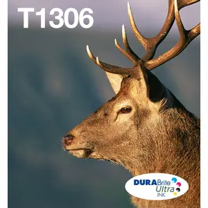 Epson Stag T1306 Hirsch DURABrite Ultra Multipack 3 Farben EasyMail Ti...