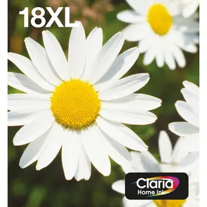 Epson Daisy 18XL Gänseblume Claria Home Multipack 4 Farben EasyMail Ti...