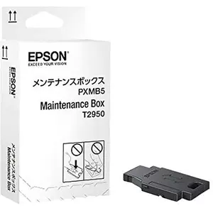 Epson Original Resttintenbehälter für WF-100W (C13T295000) günstig