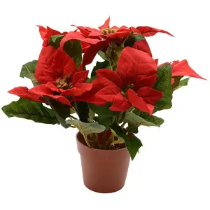 Lifetime, Weihnachtsdeko, Dekorationspflanze Rot Weihnachtsstern Ø 27 cm