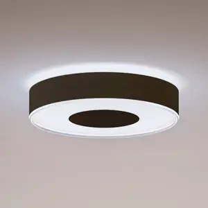Philips Hue Infuse LED-Deckenleuchte, 38,1cm, schwarz, dim.