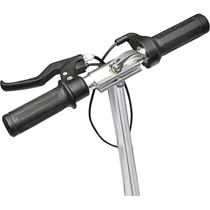 vidaXL E-Scooter 120 W Schwarz