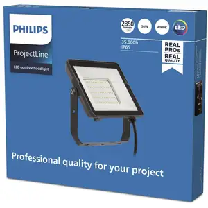 Philips ProjectLine LED-Außenstrahler 4.000K 30W