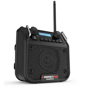 Perfectpro Dabpro Tragbares Radio