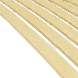 vidaXL Bettlattenrost Ersatz mit 24 Latten 100x200 cm günstig