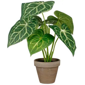 Mica Decorations Caladium Oreja De Elefante Künstliche Pflanze günstig
