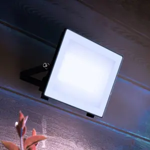 Philips LED-Außenstrahler Lois UE flood, 24 W, 5.000 K, IP65