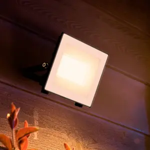 Philips LED-Außenstrahler Lois UE flood, 14 W, 3.000 K, IP65